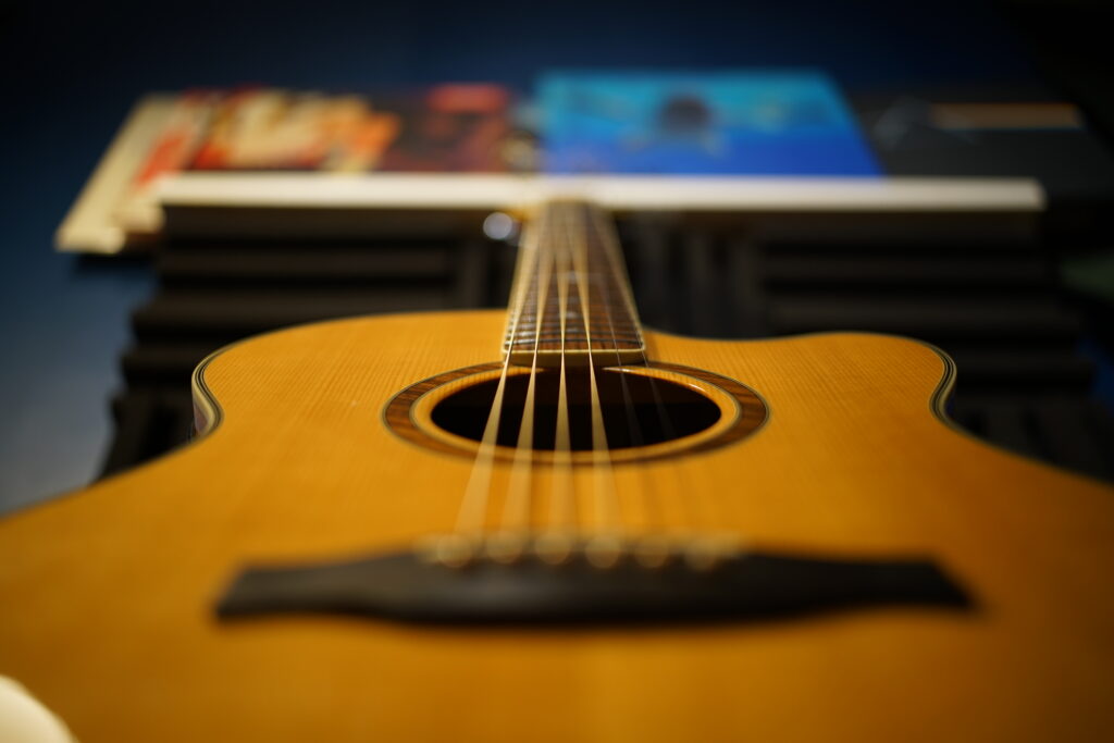 Acoustic Guitar PRS se